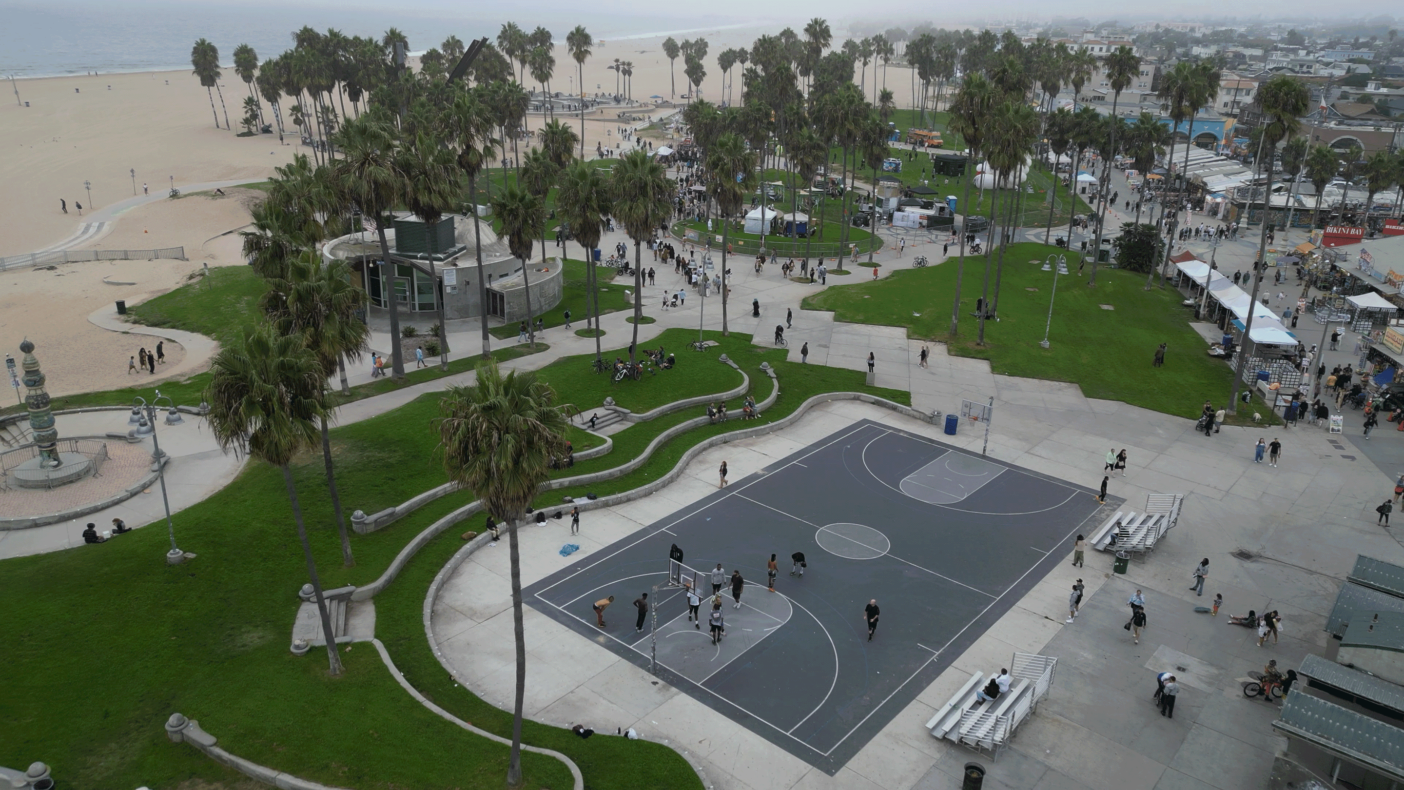 Portfolio background