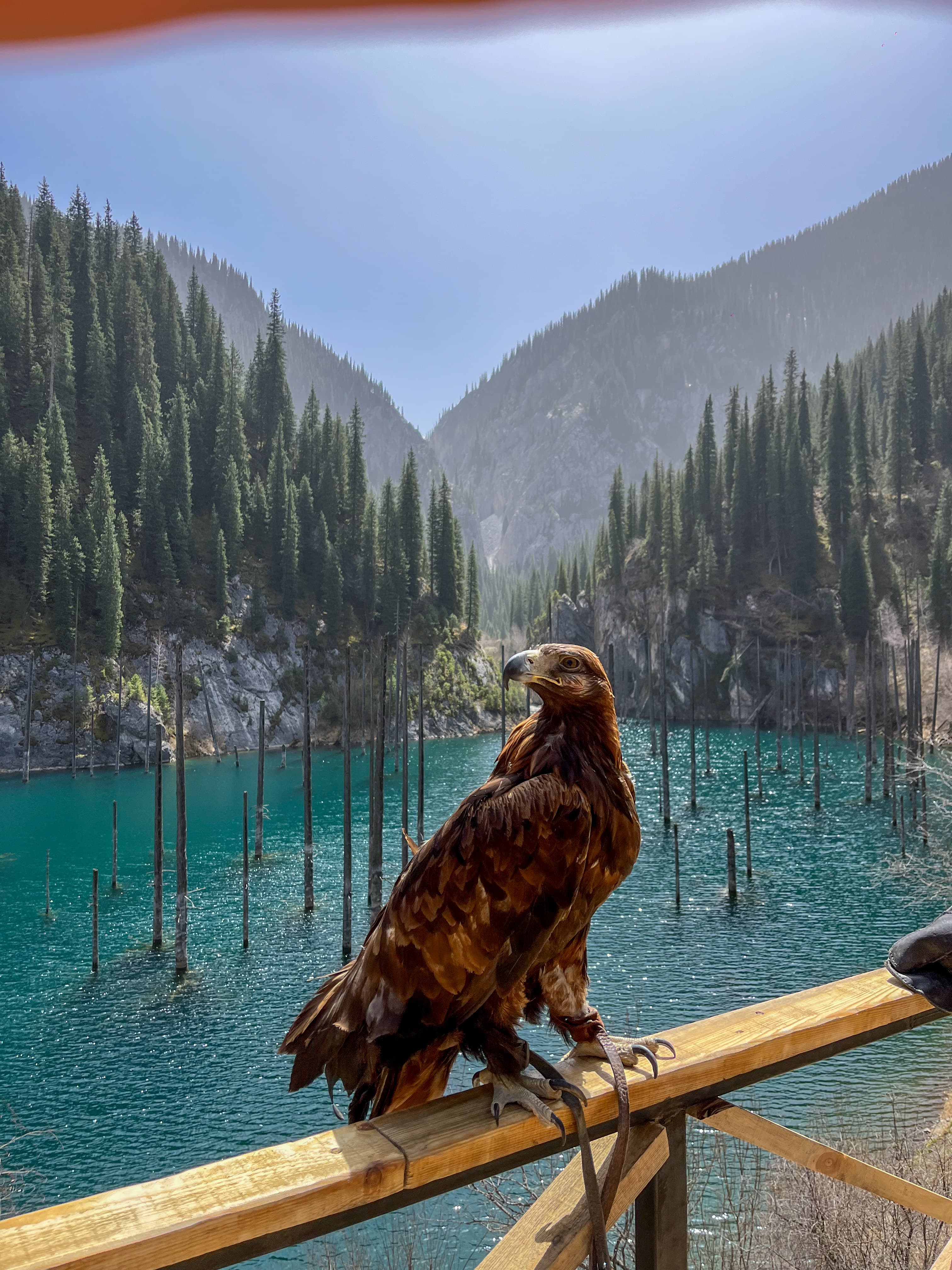 Adventures background